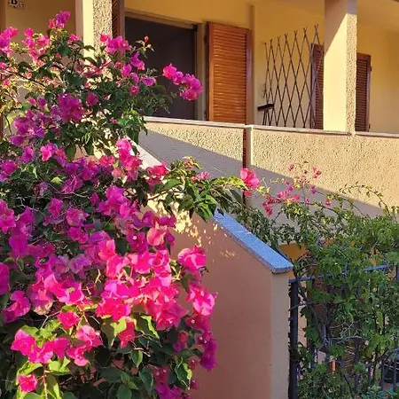La Rosa Rossa